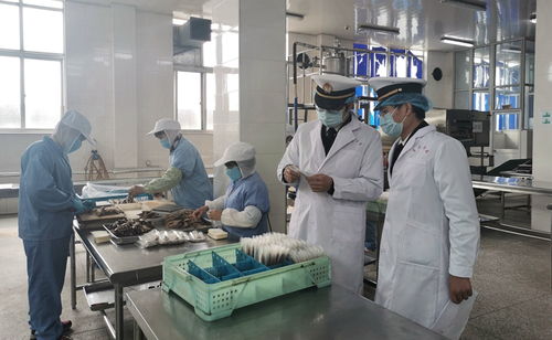 強(qiáng)化線上服務(wù)，鎮(zhèn)海海關(guān)護(hù)航食品農(nóng)產(chǎn)品出口