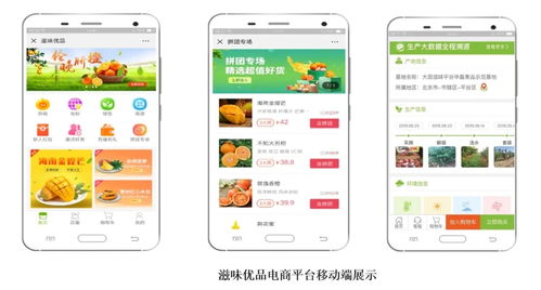 智慧農業新篇章 1.28億元數字化服務，守護農產品安全生命線